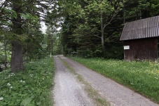 Jagdhütte 7