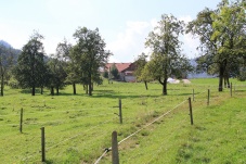 Biohof Herdengl