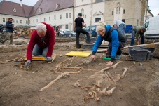 Aufgetischt in St. Pölten