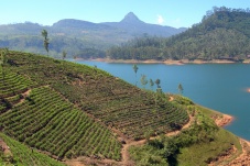 Adam's Peak