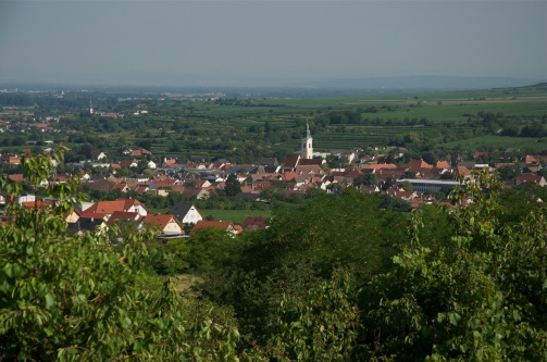 Aufgetischt im Kamptal