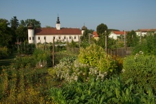 Aufgetischt im Kamptal