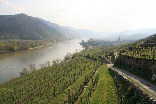 Aufgetischt in der Wachau