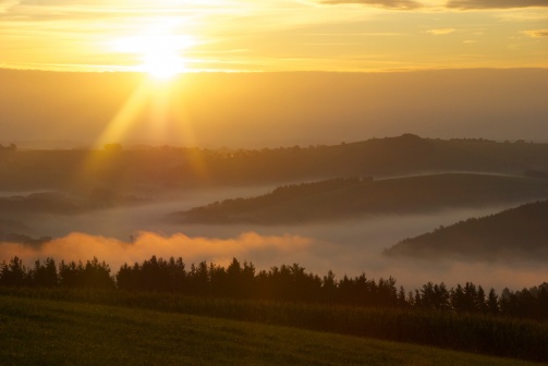 Aufgetischt in der Buckligen Welt