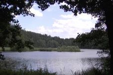 Schrammel Klang - Rund um den Herrensee in Litschau