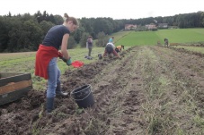 Bauer sucht Crowd