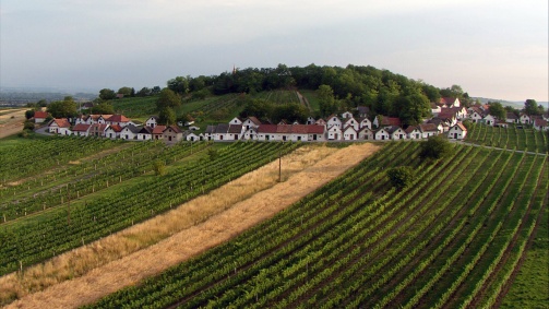 Universum: Kellergassen in Niederösterreich - Weinkultur und Lebensfreude