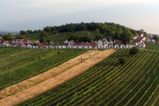 Universum: Kellergassen in Niederösterreich - Weinkultur und Lebensfreude