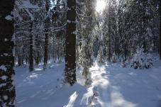 Langlaufzentrum Bärnkopf