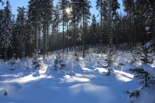 Langlaufzentrum Bärnkopf