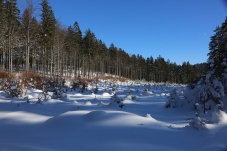 Langlaufzentrum Bärnkopf