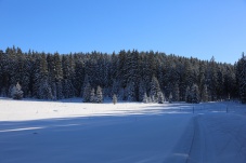 Langlaufzentrum Bärnkopf