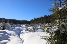 Langlaufzentrum Bärnkopf