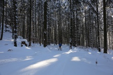 Langlaufzentrum Bärnkopf