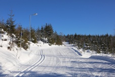 Langlaufzentrum Bärnkopf