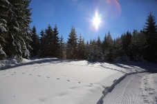 Langlaufzentrum Bärnkopf