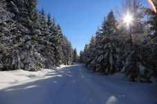 Langlaufzentrum Bärnkopf