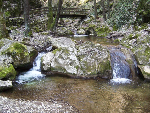 Johannesbachklamm Würflach