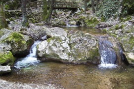 Johannesbachklamm Würflach