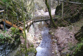 Johannesbachklamm Würflach