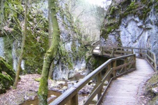 Johannesbachklamm Würflach