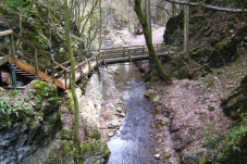 Johannesbachklamm Würflach