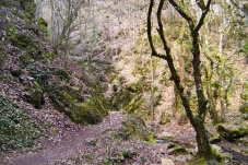 Johannesbachklamm Würflach