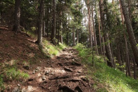 Kalvarienberg/Wechsel