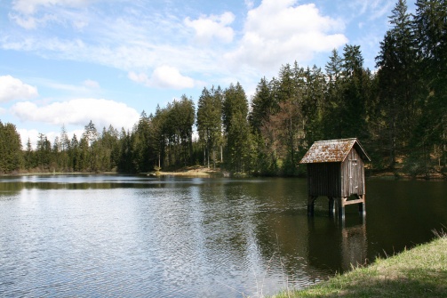 Klausteich und Umgebung