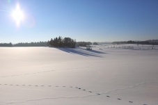 Klausteich und Umgebung