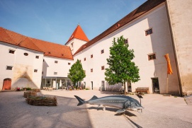 Schloss Orth/Donau