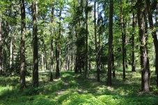 Naturpark Kamptal Schönberg