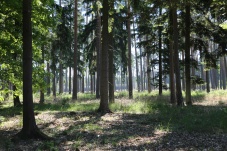 Naturpark Kamptal Schönberg