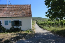 Naturpark Kamptal Schönberg