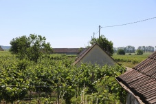 Naturpark Kamptal Schönberg