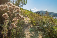 Naturpark Purkersdorf