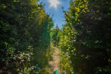 Naturpark Purkersdorf