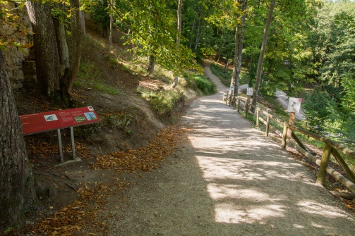 Naturpark Sparbach Landschaft