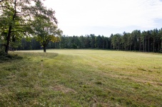 Naturpark Sparbach Landschaft