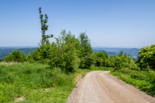 Naturpark & Warte Jauerling