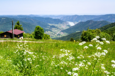 Naturpark & Warte Jauerling
