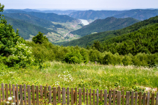 Naturpark & Warte Jauerling