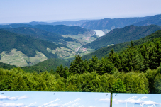 Naturpark & Warte Jauerling