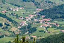 Naturpark & Warte Jauerling