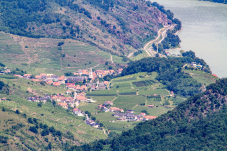 Naturpark & Warte Jauerling