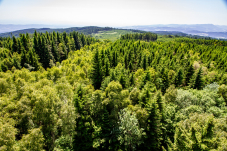 Naturpark & Warte Jauerling