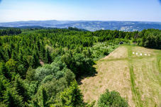 Naturpark & Warte Jauerling