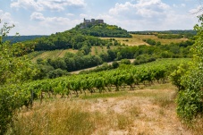 Landschaftsschutzgebiet Falkenstein