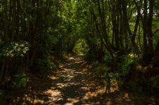 Landschaftsschutzgebiet Falkenstein