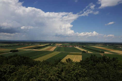 Aussichtsturm & Ahrenberger Kellergasse